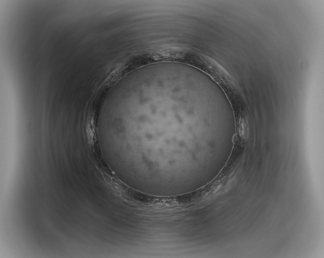 X0000115590915200911171026
