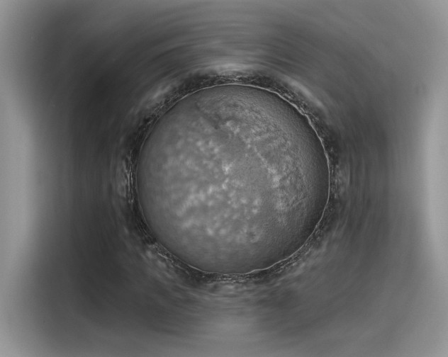 X0000115590917200911171026