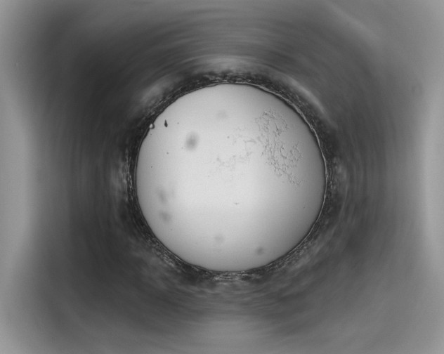 X0000115590918200911171026