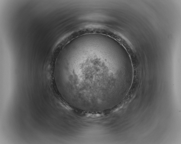 X0000115590919200911171026