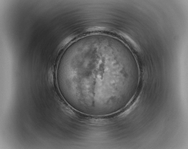 X0000115590921200911171027