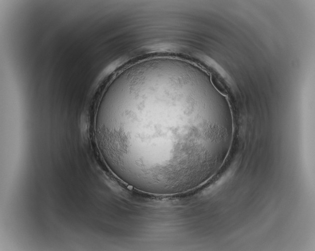 X0000115590922200911171027
