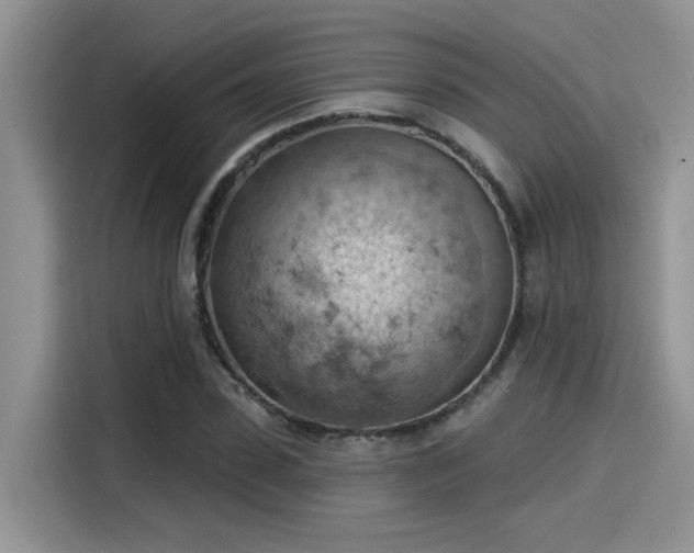 X0000115590923200911171027