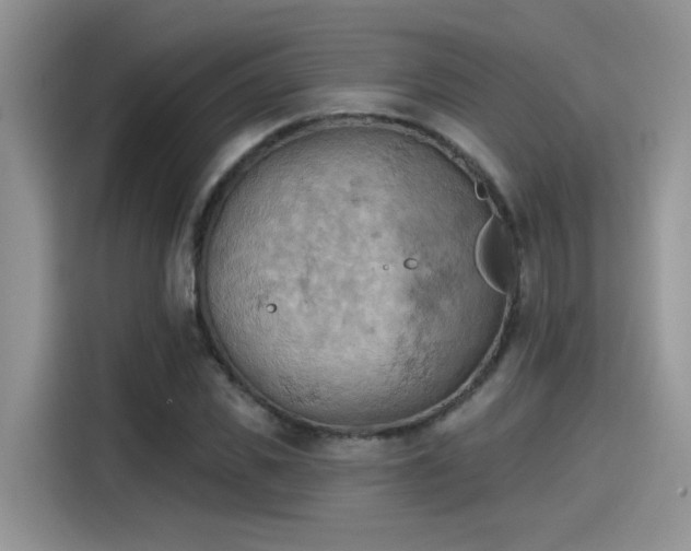 X0000115590925200911171027