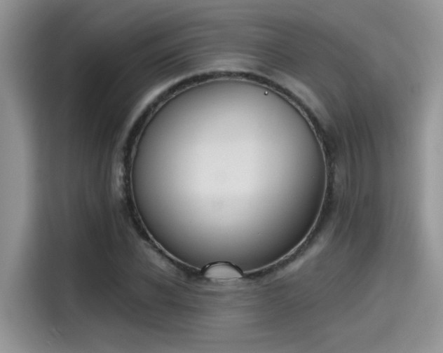 X0000115590926200911171027