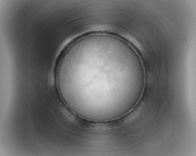 X0000115590927200911171027