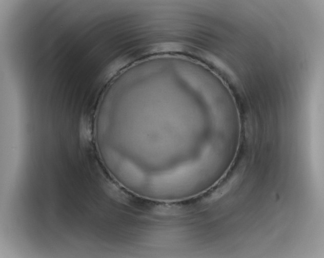 X0000115590929200911171027