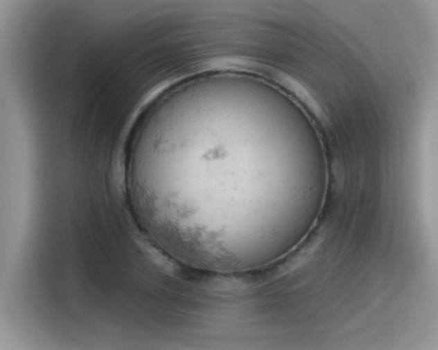 X0000115590931200911171027