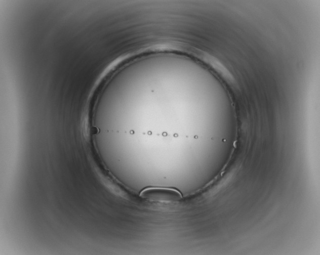 X0000115590934200911171027