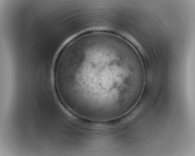 X0000115590935200911171027