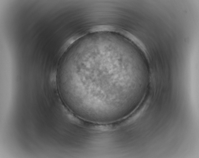 X0000115590937200911171027