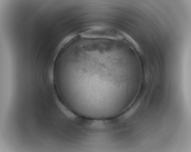 X0000115590938200911171027