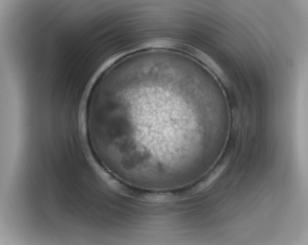 X0000115590939200911171027