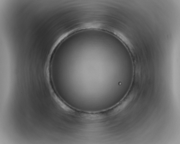 X0000115590941200911171027