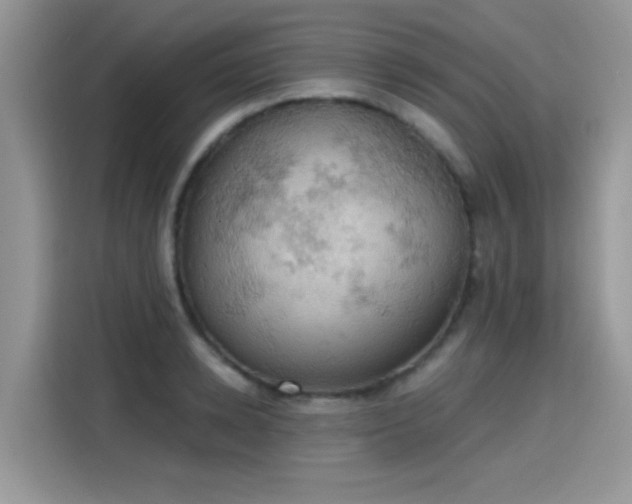 X0000115590942200911171027