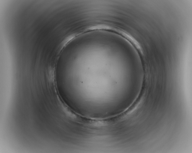 X0000115590945200911171027
