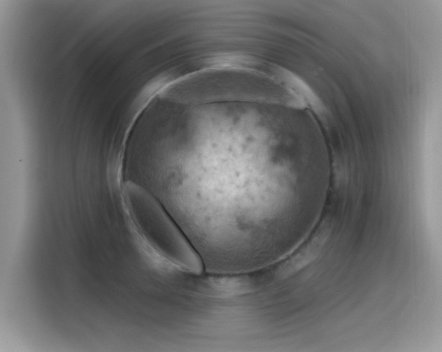 X0000115590946200911171027