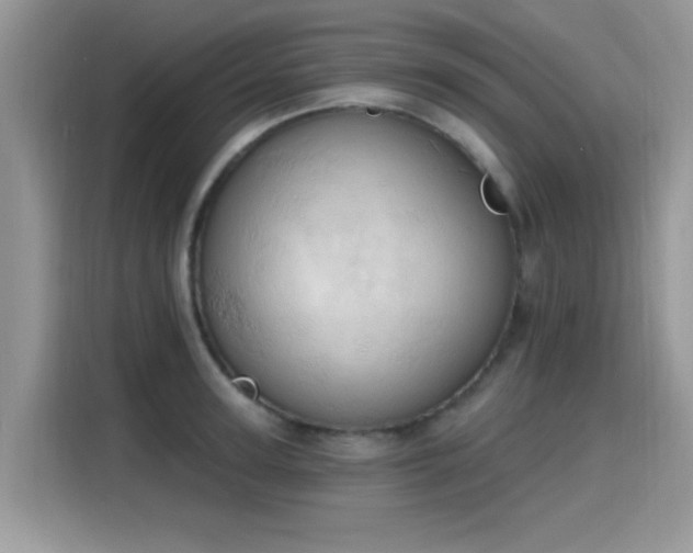 X0000115590947200911171027