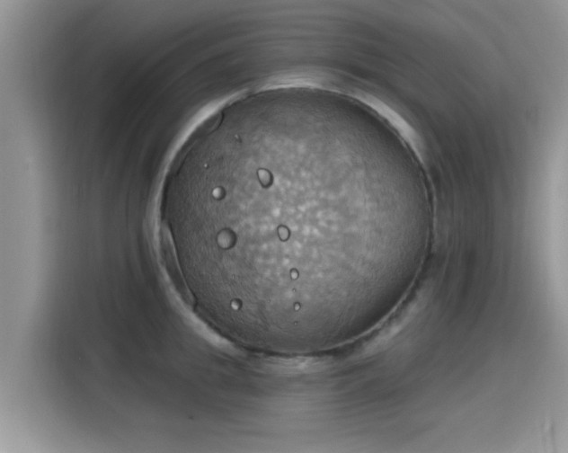 X0000115590949200911171027
