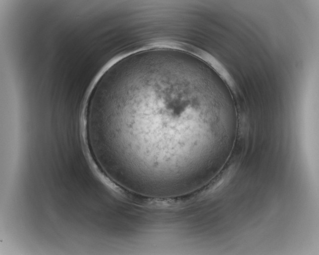 X0000115590955200911171027
