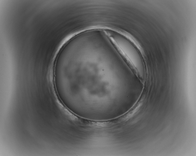 X0000115590958200911171027