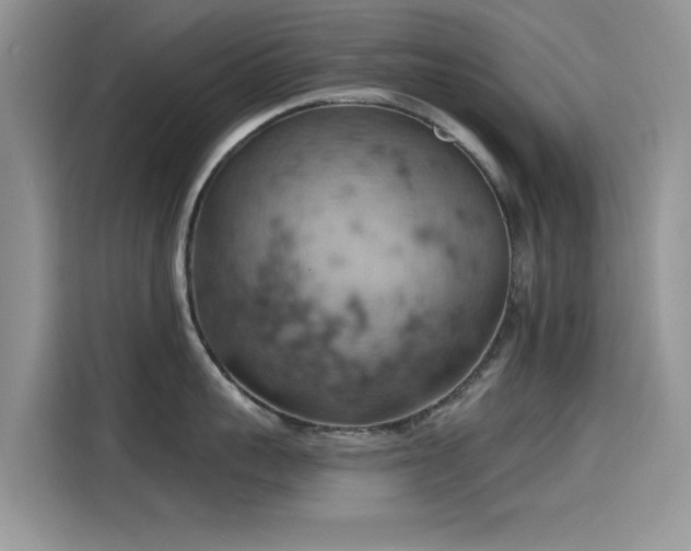X0000115590959200911171027