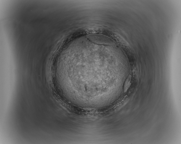 X0000115590961200911171026