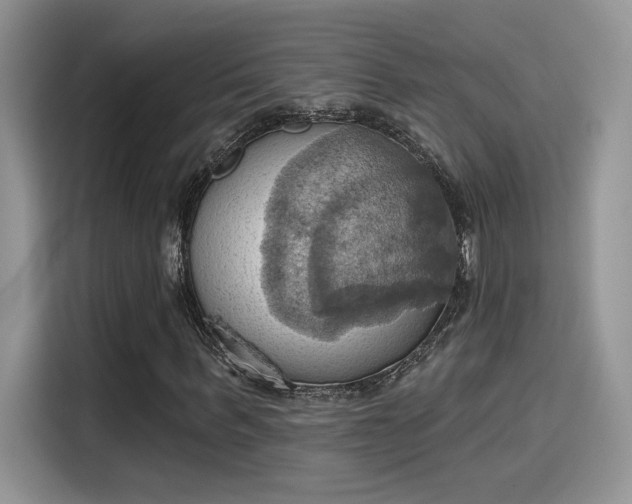 X0000115590963200911171026