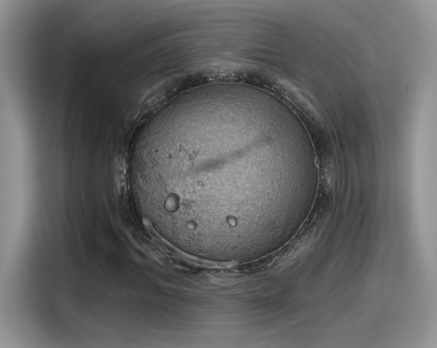 X0000115590964200911171026