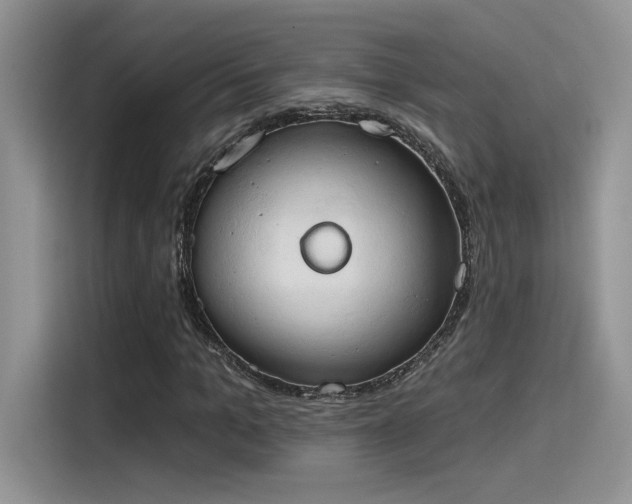 X0000115590965200911171026