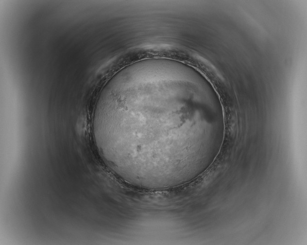 X0000115590966200911171026