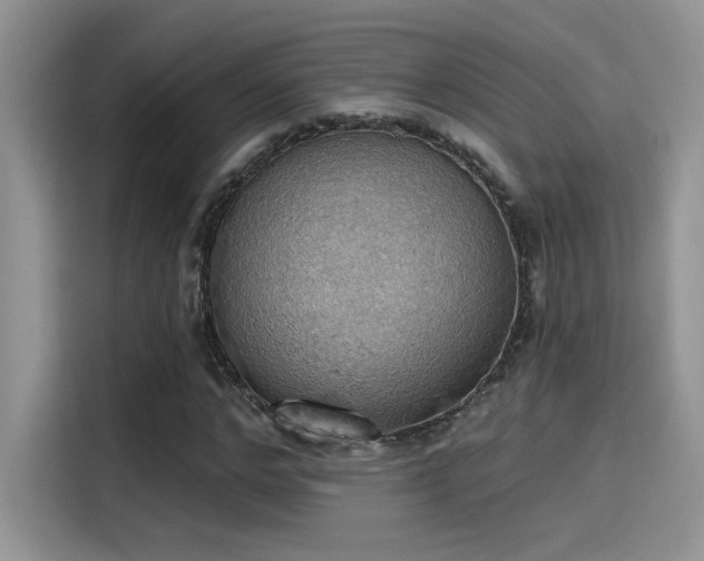 X0000115590968200911171026
