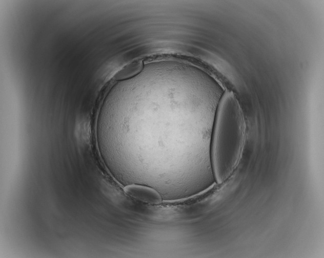 X0000115590969200911171026