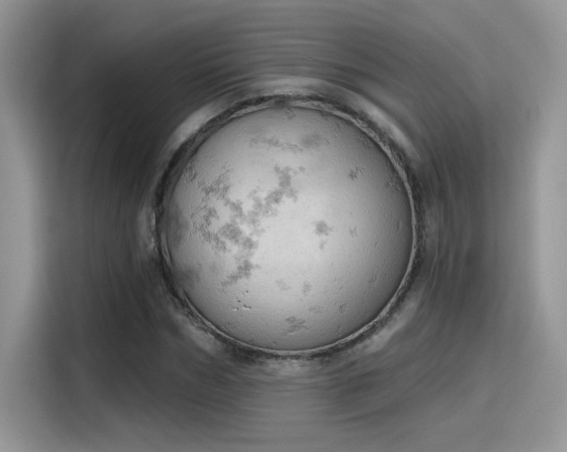 X0000115590970200911171026