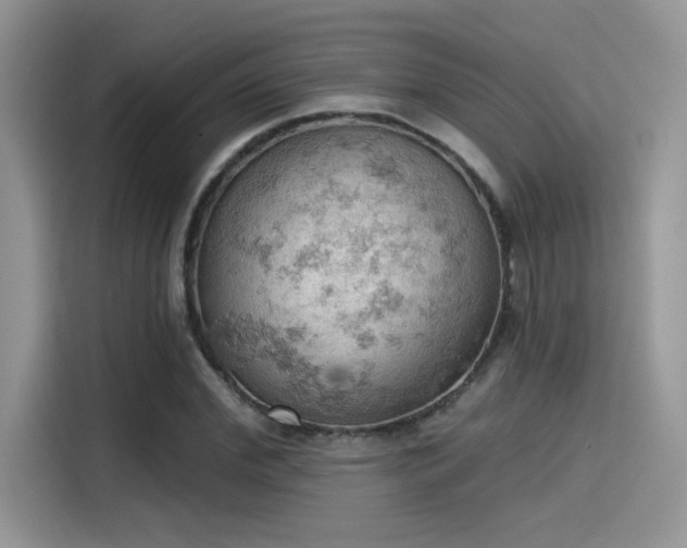 X0000115590972200911171026