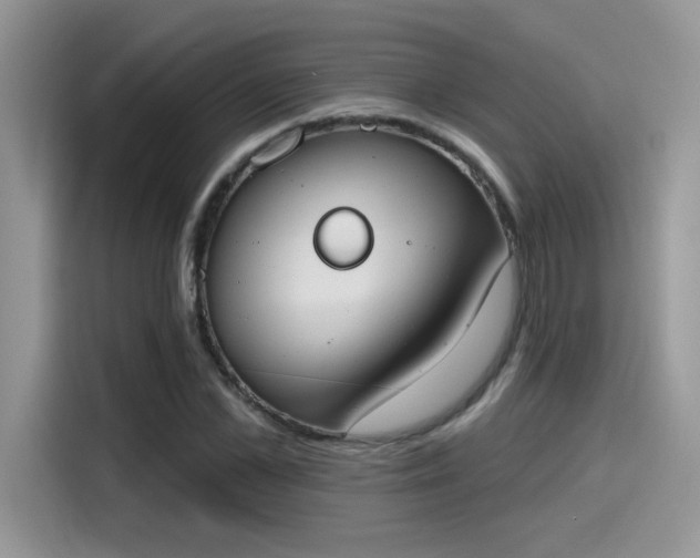 X0000115590973200911171026