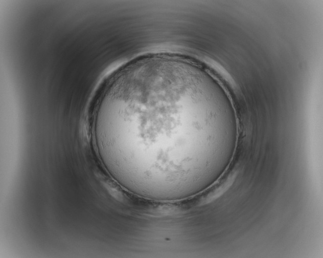X0000115590974200911171026