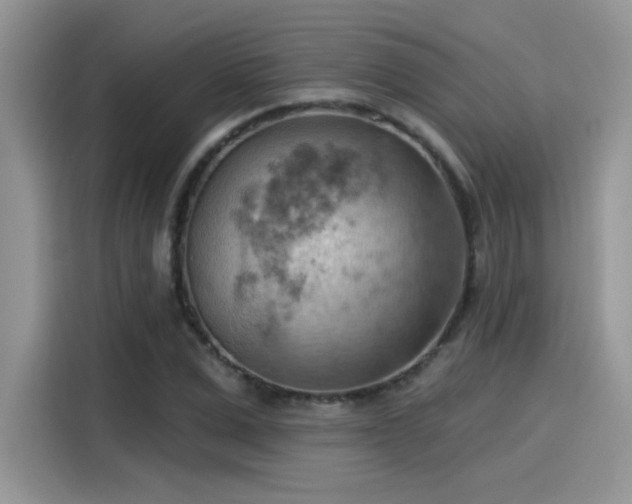 X0000115590975200911171026