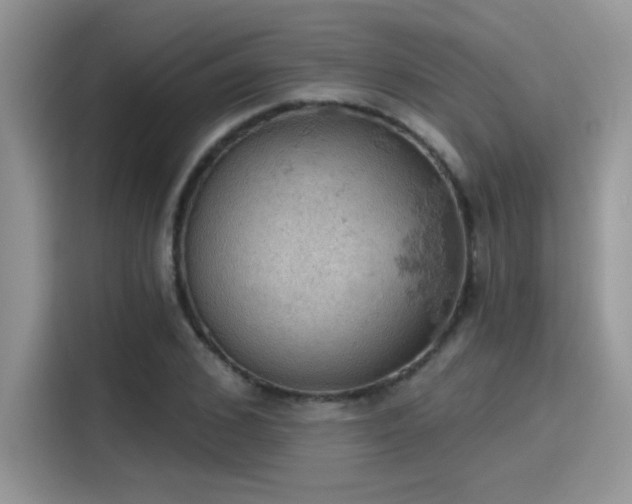 X0000115590976200911171026