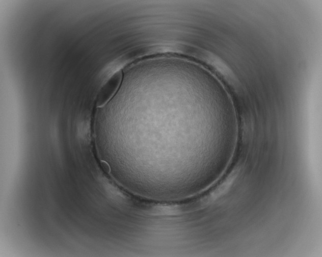 X0000115590977200911171026