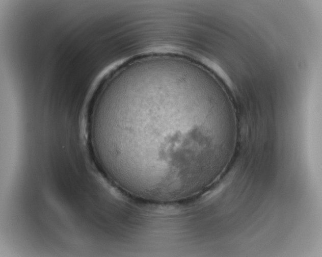 X0000115590979200911171026