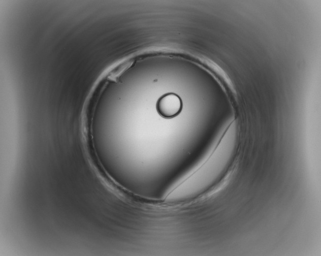 X0000115590981200911171026