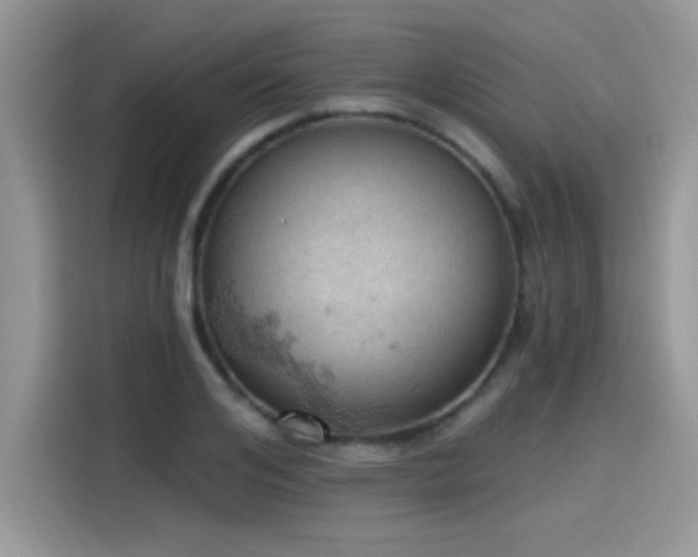 X0000115590984200911171026