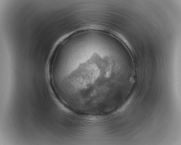 X0000115590987200911171026