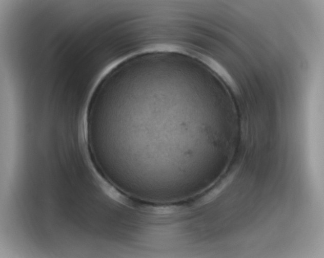 X0000115590988200911171026