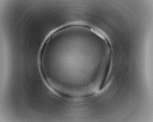 X0000115590989200911171026