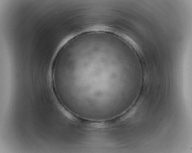 X0000115590990200911171026