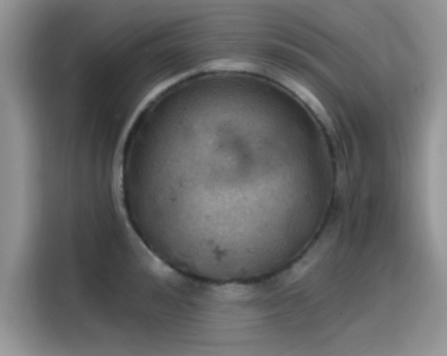 X0000115590992200911171026