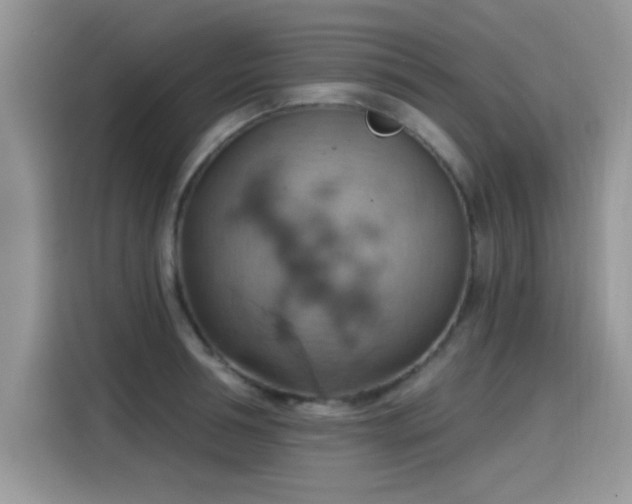 X0000115590994200911171026
