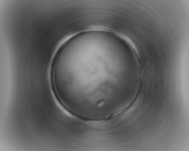 X0000115590995200911171026
